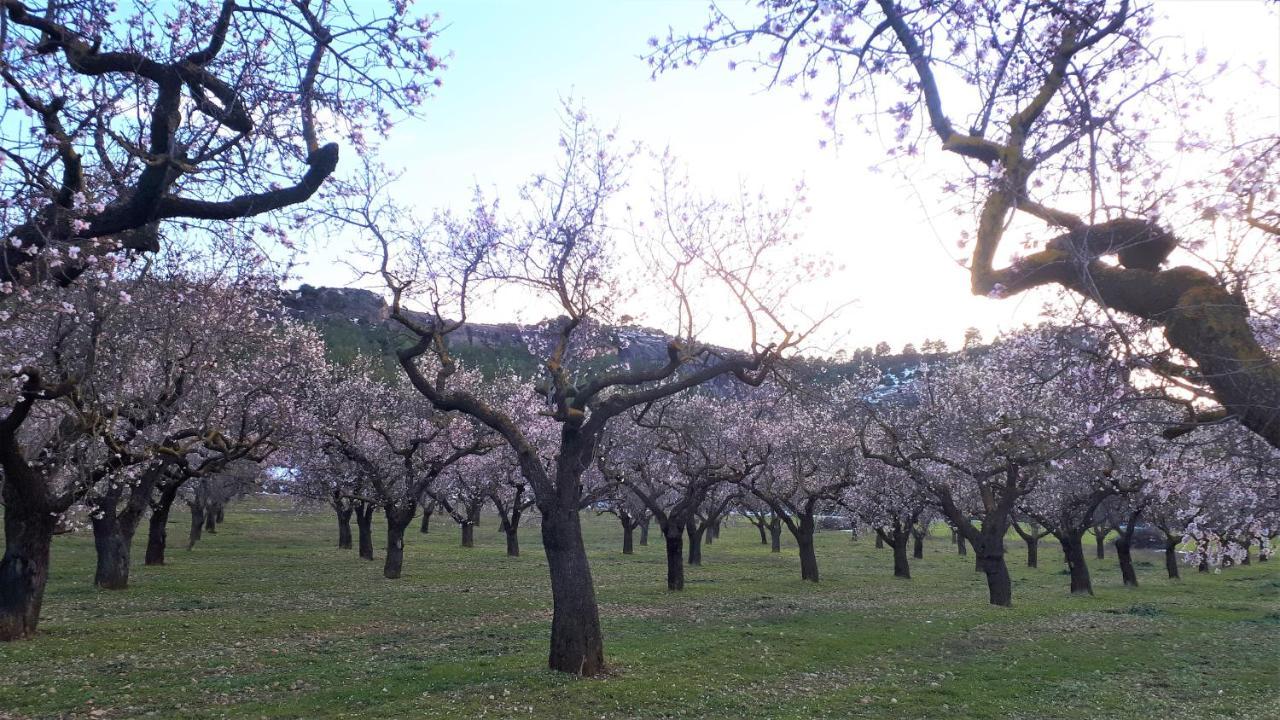 El Raco De Les Grases Appartement Horta de Sant Joan Buitenkant foto